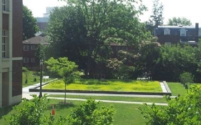View of 'Burying' Ground from Nau Hall image. Click for full size.