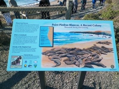 Point Piedras Blancas, A Recent Colony Marker image. Click for full size.