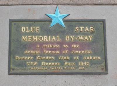 Blue Star Memorial Plaque image. Click for full size.