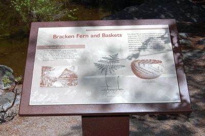 Bracken Fern and Baskets Marker image. Click for full size.