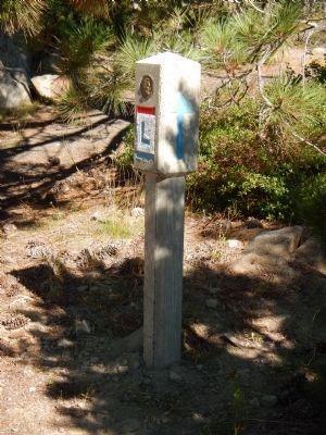 A Lincoln Highway Marker image. Click for full size.