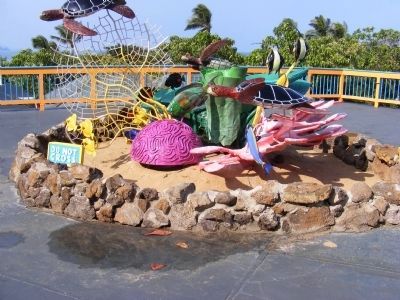 Sea Life Park image. Click for full size.