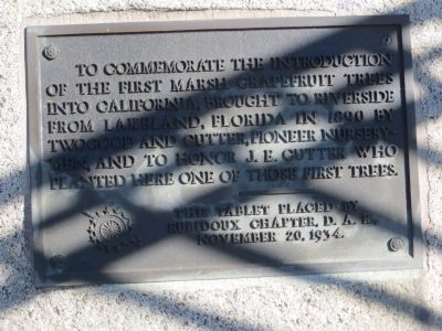 The First Marsh Grapefruit Trees into California Marker image. Click for full size.