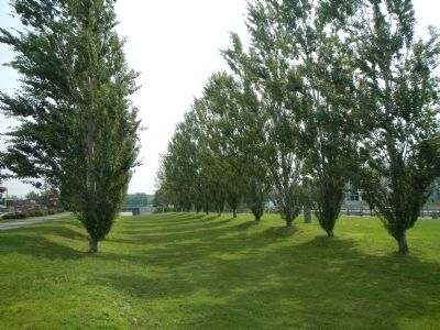 The line of the old Lachine Canal. Click for full size. The line of the old Lachine Canal image. Click for full size.