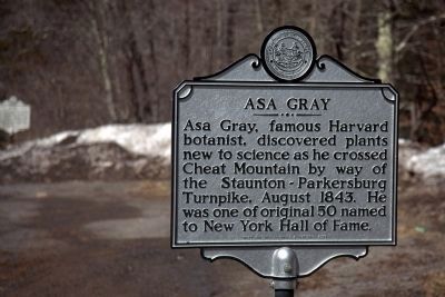 Asa Gray Side of Marker. Click for full size. Asa Gray Side of Marker image. Click for full size.