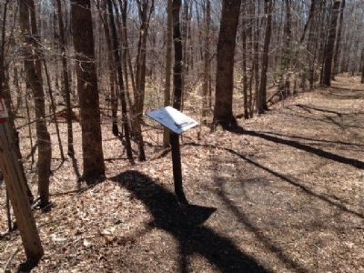 Spotsylvania's War Effort Marker. Click for full size. Spotsylvania's War Effort Marker image. Click for full size.