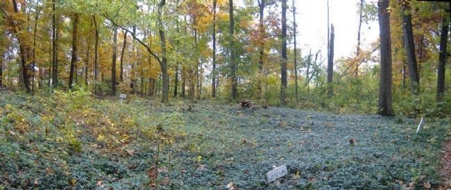St. James Episcopal Church Site. Click for full size. St. James Episcopal Church Site image. Click for full size.