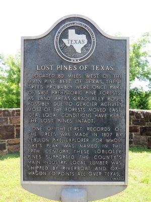 Lost Pines of Texas Marker image. Click for full size.