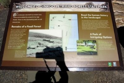 Welcome to Ginkgo Petrified Forest State Park Marker. Click for full size. Welcome to Ginkgo Petrified Forest State Park Marker image. Click for full size.