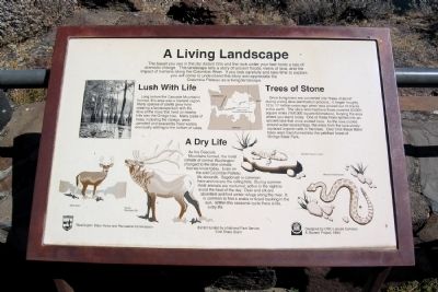 A Living Lansdscape Marker. Click for full size. A Living Lansdscape Marker image. Click for full size.