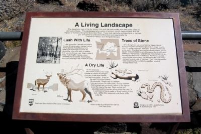 A Living Lansdscape Marker image. Click for full size.