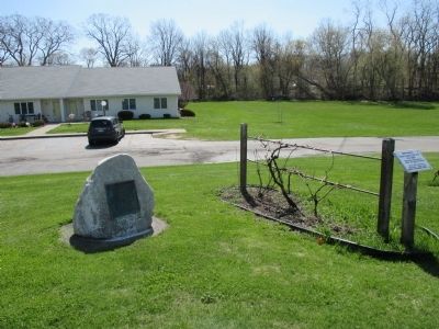 Original Niagara Grape Vine and Marker. Click for full size. Original Niagara Grape Vine and Marker image. Click for full size.