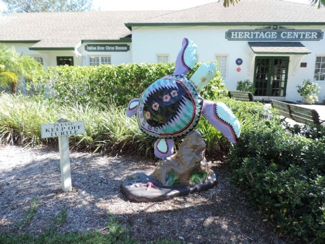 Turtle sculpture on display outside the nearby Indian River Citrus Museum and Heritage Center image. Click for full size.