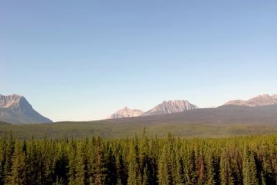 From Left to Right, Storm Mountain, Vermilion Pass,<br>Mount Whymper and Boom Mountain image. Click for full size.