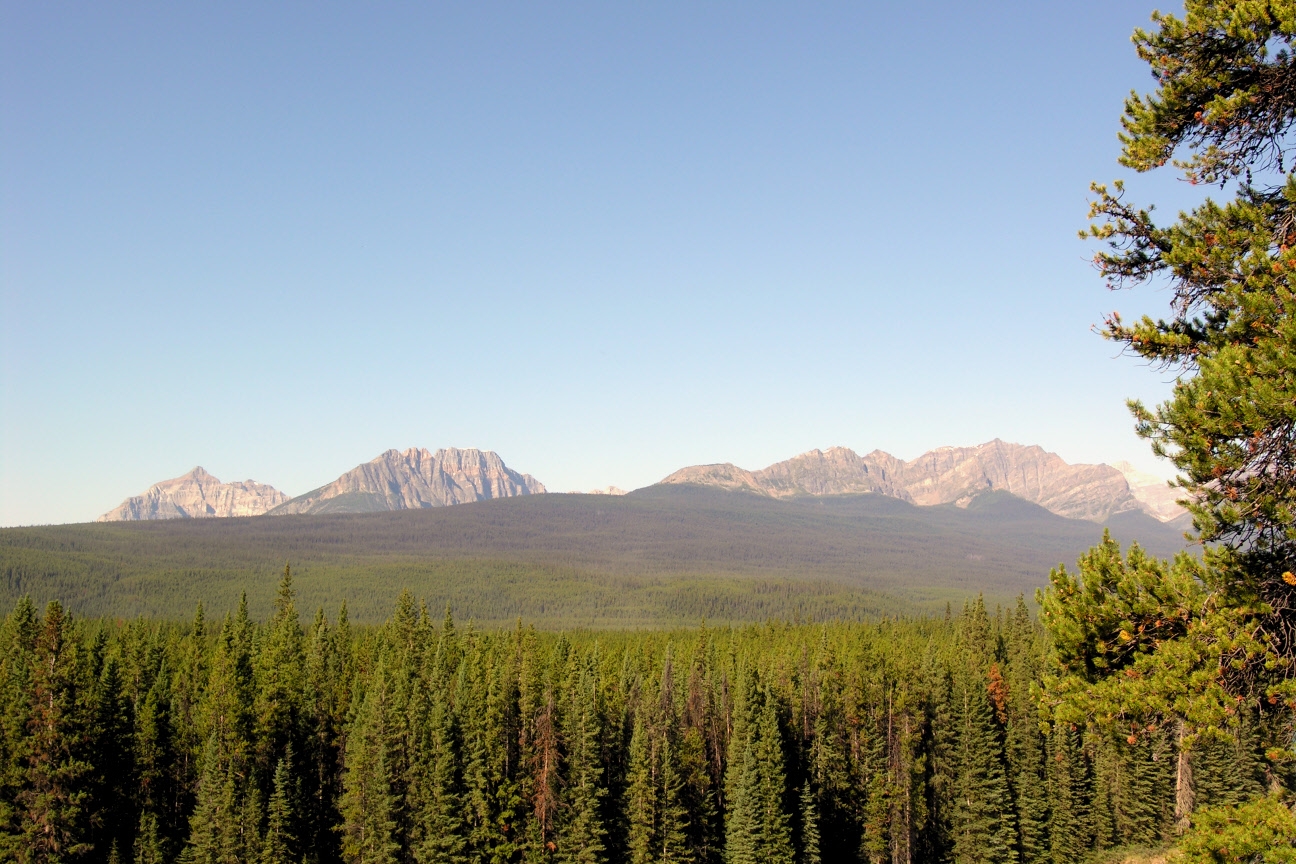 From Left to Right, Mount Whymper, Boom Mountain, and Mount Bell