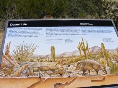 Desert Life Marker image. Click for full size.