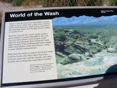 World of the Wash Marker. Click for full size. World of the Wash Marker image. Click for full size.