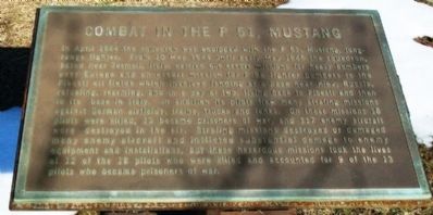 2nd Fighter Squadron, 52nd Fighter Group P-51 Marker. Click for full size. 2nd Fighter Squadron, 52nd Fighter Group P-51 Marker image. Click for full size.