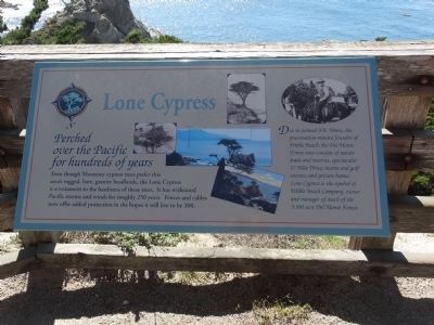 Lone Cypress Marker. Click for full size. Lone Cypress Marker image. Click for full size.