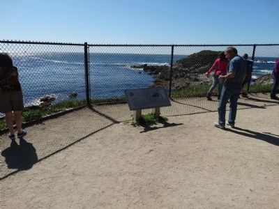 Cypress Point Lookout Marker. Click for full size. Cypress Point Lookout Marker image. Click for full size.
