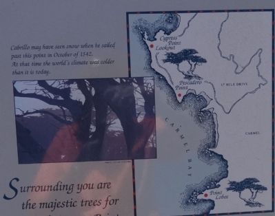 Cypress Point Lookout Marker. Click for full size. Cypress Point Lookout Marker image. Click for full size.