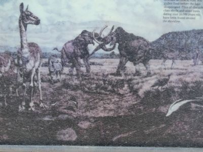 A Lost Lake Marker image. Click for full size.