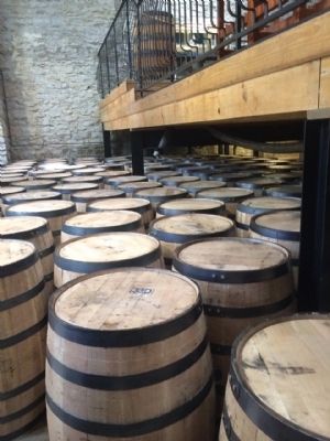 Oak barrels filling room. image. Click for full size.