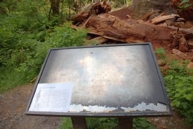 Rain Forest Monarch Marker image. Click for full size.