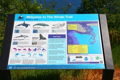 Snow Creek Marker. Click for full size. Snow Creek Marker image. Click for full size.