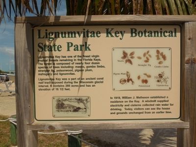Lignumvitae Key Botanical State Park image. Click for full size.