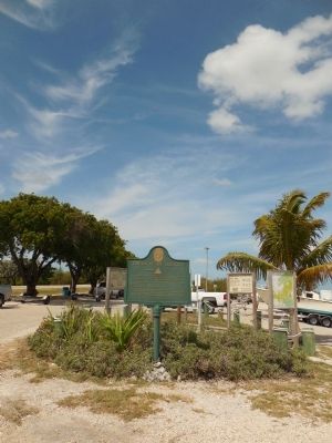 Grassy area with markers image. Click for full size.