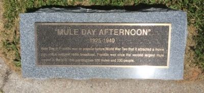 "Mule Day Afternoon" Marker image. Click for full size.