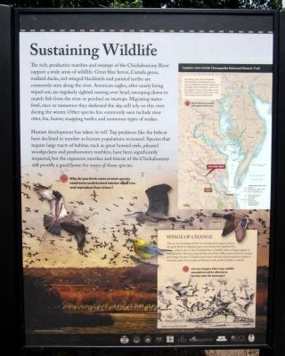 Sustaining Wildlife (right panel) image. Click for full size.