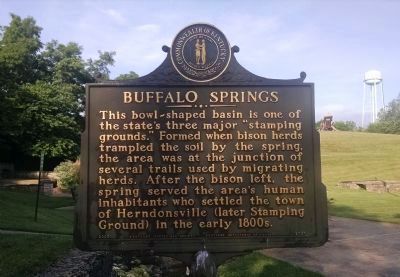 Buffalo Springs Marker [front] image. Click for full size.