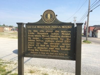 Little Mountain Indian Mound Marker (Front) image. Click for full size.