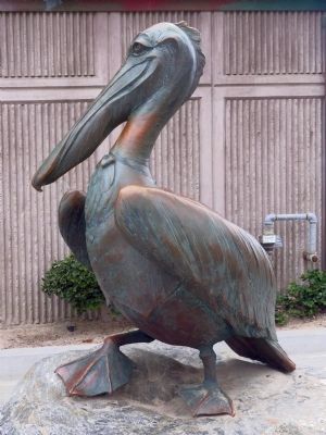 Pelican Brown image. Click for full size.