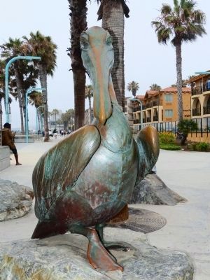 Pelican Brown image. Click for full size.