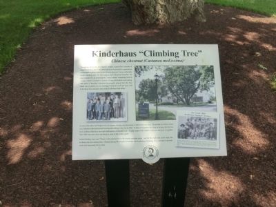 Kinderhaus “Climbing Tree” Marker image. Click for full size.