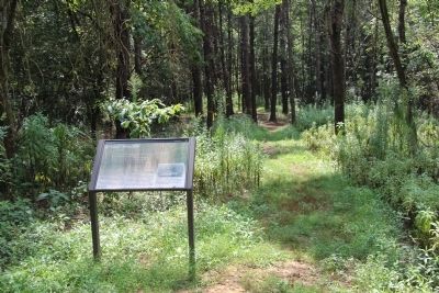 A "Trace" of the Past Marker. Click for full size. A "Trace" of the Past Marker image. Click for full size.