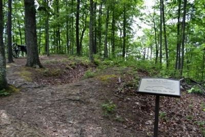 Summit of Hoosier Knob image. Click for full size.