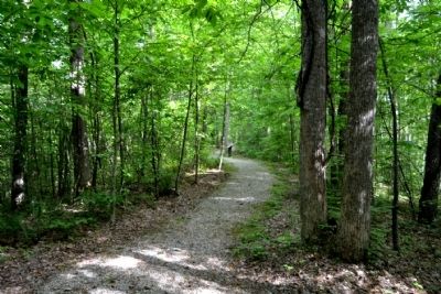 Hoosier Knob Interpretive Trail near Marker #1. Click for full size. Hoosier Knob Interpretive Trail near Marker #1 image. Click for full size.