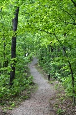 Hoosier Knob Interpretive Trail Heading to the Summit. Click for full size. Hoosier Knob Interpretive Trail Heading to the Summit image. Click for full size.