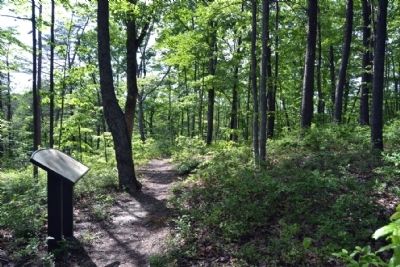 Hoosier Knob Interpretive Trail at Marker #10. Click for full size. Hoosier Knob Interpretive Trail at Marker #10 image. Click for full size.