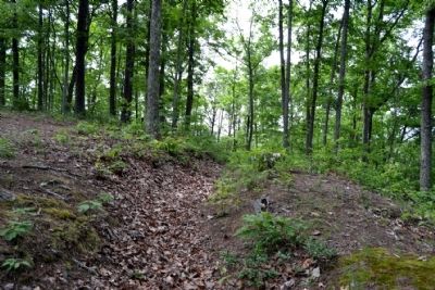 Union Entrenchments Near Marker #13. Click for full size. Union Entrenchments Near Marker #13 image. Click for full size.