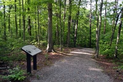 Northern Section of<br>Infantry Ridge Interpretive Trail image. Click for full size.