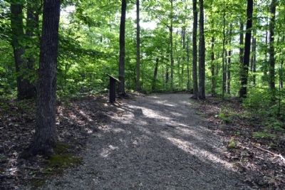 Central Section of<br>Infantry Ridge Interpretive Trail image. Click for full size.