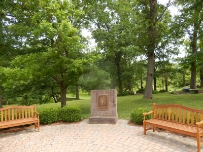 The Witness Tree Marker image. Click for full size.