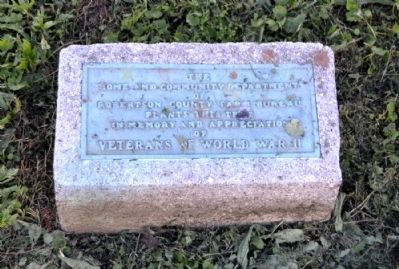 Robertson County World War II Tree Memorial Marker. Click for full size. Robertson County World War II Tree Memorial Marker image. Click for full size.
