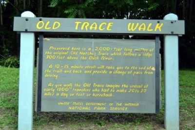 Old Trace Walk Marker. Click for full size. Old Trace Walk Marker image. Click for full size.
