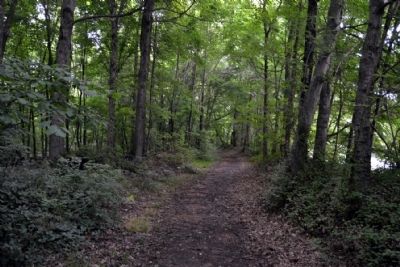 Preserved Section of Old Trace near Marker image. Click for full size.